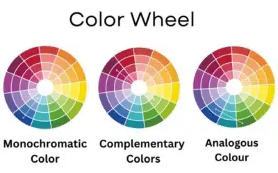 A Beginner’s Guide-Creating a Harmonious Color Palette